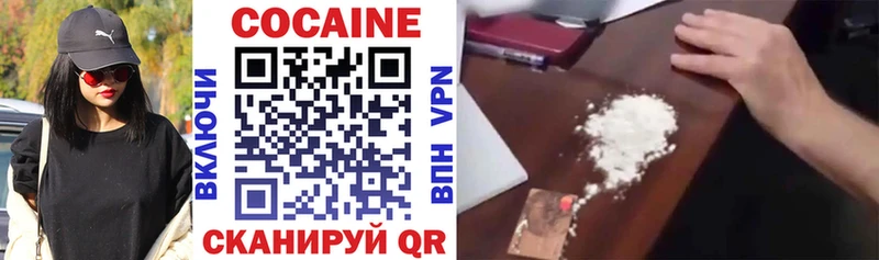 Cocaine Fish Scale  купить наркотики цена  Шуя 