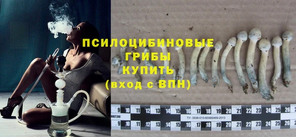 прущая мука Богородск